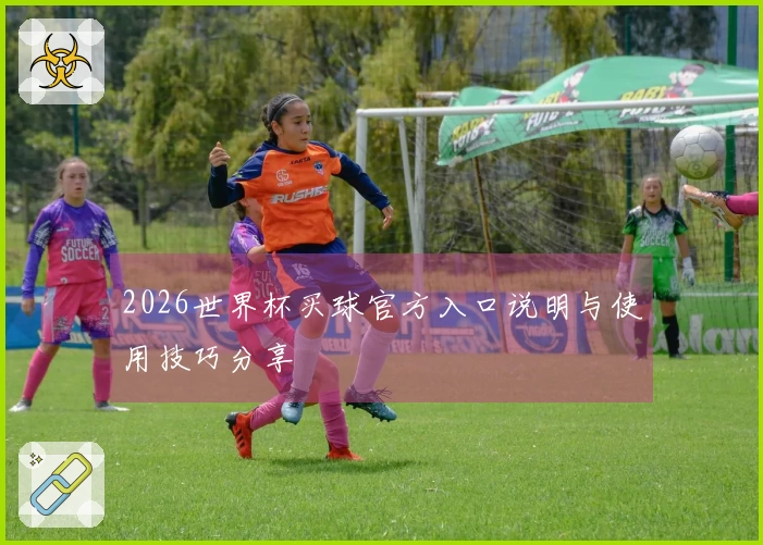 2026世界杯买球官方入口说明与使用技巧分享
