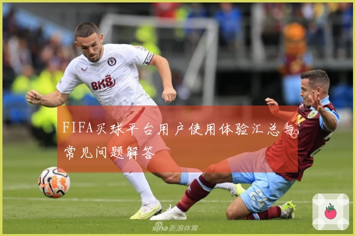 FIFA买球平台用户使用体验汇总与常见问题解答