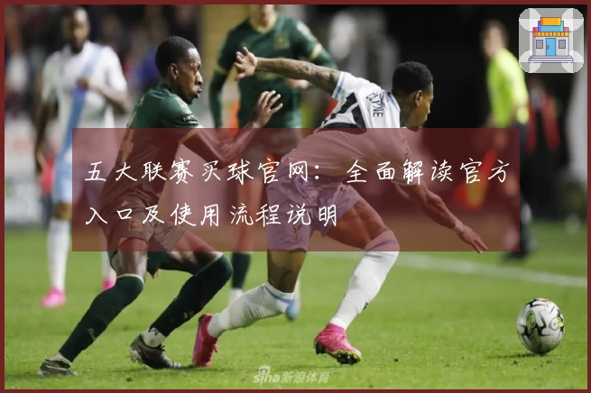 五大联赛买球官网：全面解读官方入口及使用流程说明