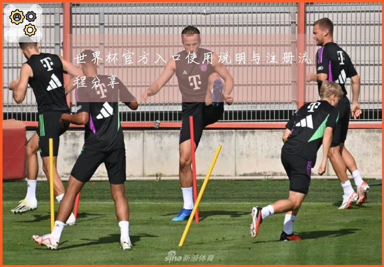 世界杯官方入口使用说明与注册流程分享