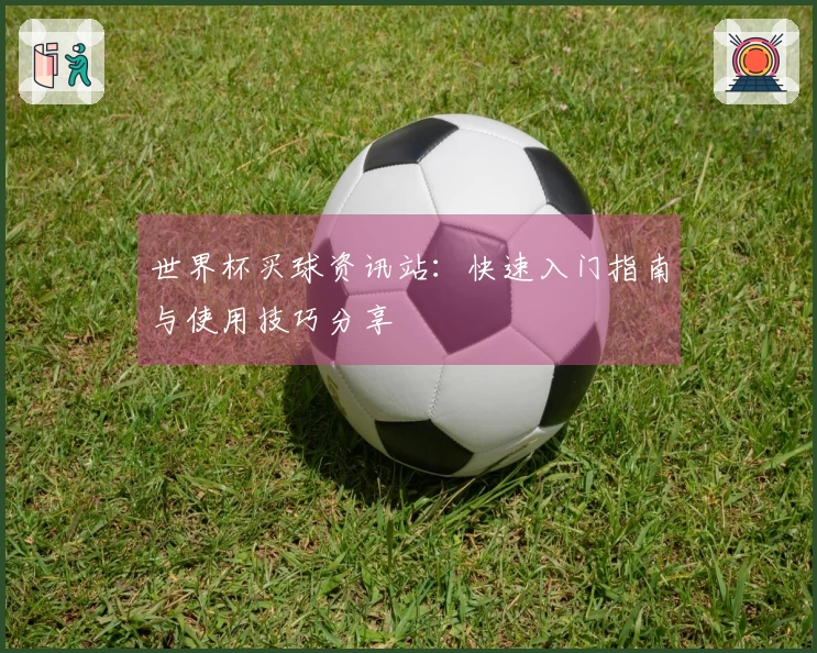 世界杯买球资讯站：快速入门指南与使用技巧分享