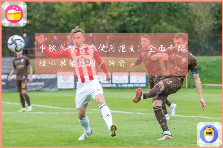 中欧买球平台使用指南：全面介绍核心功能与用户评价