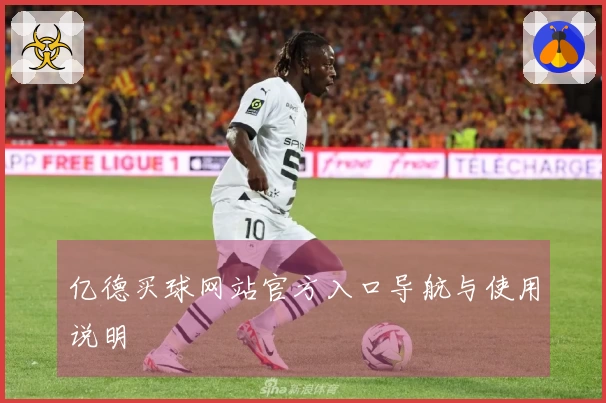 亿德买球网站官方入口导航与使用说明