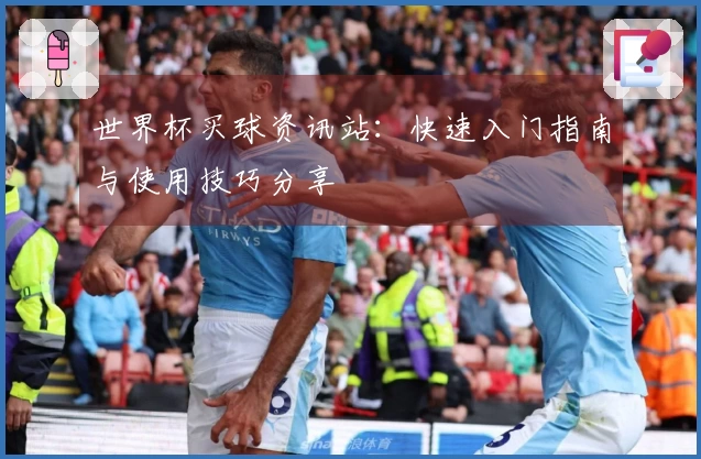 世界杯买球资讯站：快速入门指南与使用技巧分享