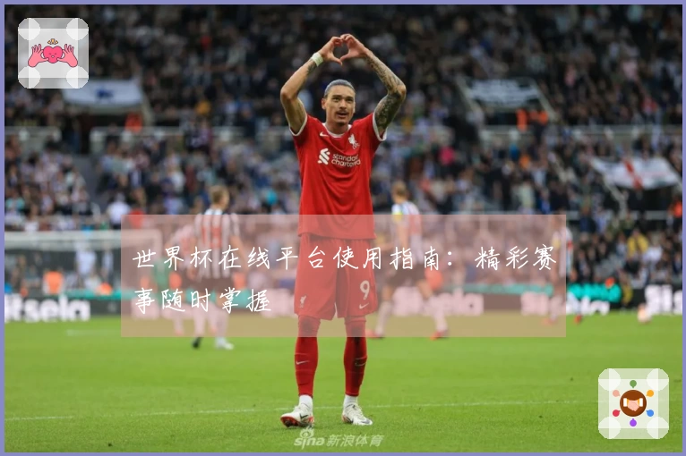 世界杯在线平台使用指南：精彩赛事随时掌握