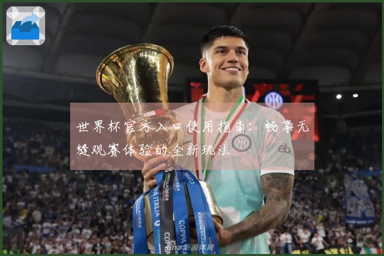 世界杯官方入口使用指南：畅享无缝观赛体验的全新玩法