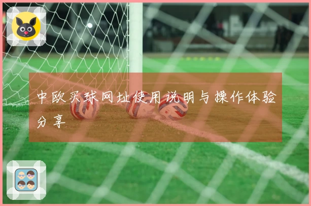 中欧买球网址使用说明与操作体验分享