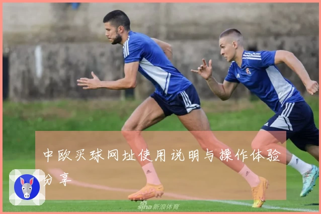 中欧买球网址使用说明与操作体验分享